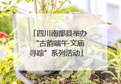 四川南部县举办“古韵端午·文庙寻踪”系列活动