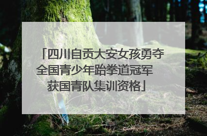 四川自贡大安女孩勇夺全国青少年跆拳道冠军 获国青队集训资格