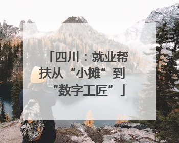 四川：就业帮扶从“小摊”到“数字工匠”
