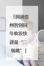 圆通贵州智创园年收发快递量“三级跳”