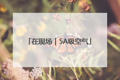 在现场｜5A级空气
