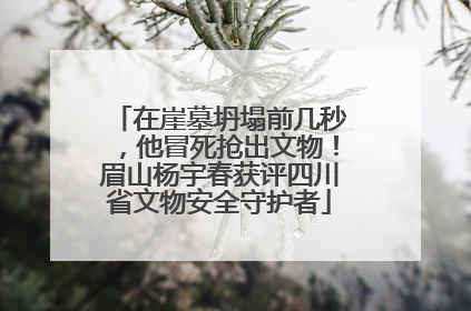 在崖墓坍塌前几秒，他冒死抢出文物！眉山杨宇春获评四川省文物安全守护者