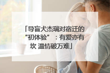 导盲犬杰瑞对宿迁的“初体验”：有爱亦有坎 温情破万难