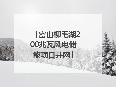密山柳毛湖200兆瓦风电储能项目并网