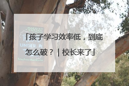 孩子学习效率低，到底怎么破？｜校长来了