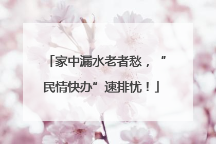 家中漏水老者愁，“民情快办”速排忧！