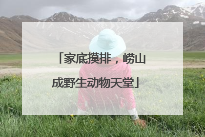 家底摸排，崂山成野生动物天堂
