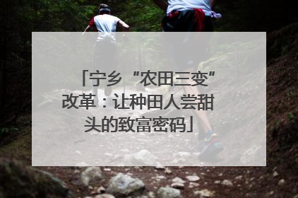 宁乡“农田三变”改革：让种田人尝甜头的致富密码