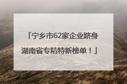 宁乡市62家企业跻身湖南省专精特新榜单！