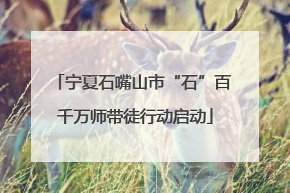 宁夏石嘴山市“石”百千万师带徒行动启动
