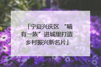 宁夏兴庆区 “曦有一族”进城里打造乡村振兴新名片