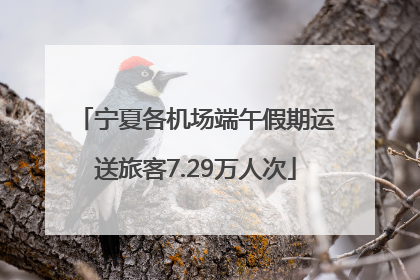 宁夏各机场端午假期运送旅客7.29万人次