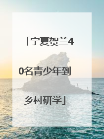 宁夏贺兰40名青少年到乡村研学