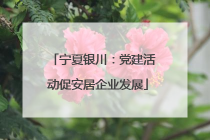 宁夏银川：党建活动促安居企业发展
