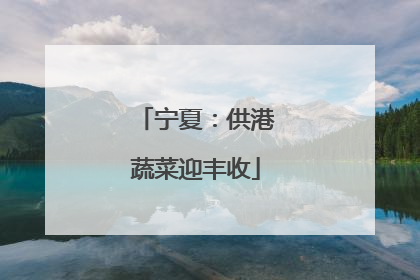 宁夏：供港蔬菜迎丰收
