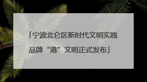 宁波北仑区新时代文明实践品牌“港”文明正式发布