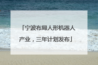 宁波布局人形机器人产业，三年计划发布