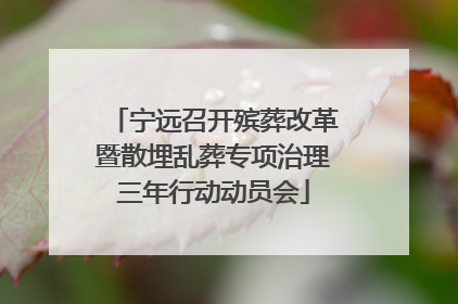 宁远召开殡葬改革暨散埋乱葬专项治理三年行动动员会