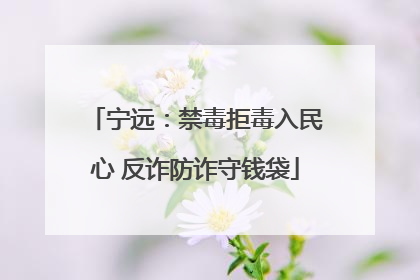 宁远：禁毒拒毒入民心 反诈防诈守钱袋