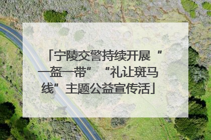 宁陵交警持续开展“一盔一带”“礼让斑马线”主题公益宣传活