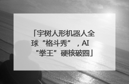 宇树人形机器人全球“格斗秀”，AI“拳王”硬核破圈