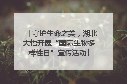 守护生命之美，湖北大悟开展“国际生物多样性日”宣传活动