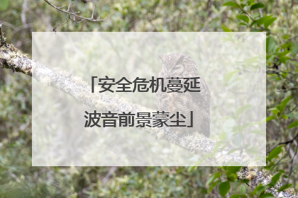 安全危机蔓延 波音前景蒙尘
