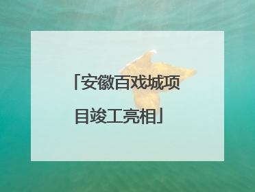 安徽百戏城项目竣工亮相