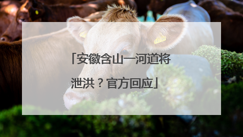 安徽含山一河道将泄洪？官方回应