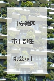 安徽四市干部任前公示