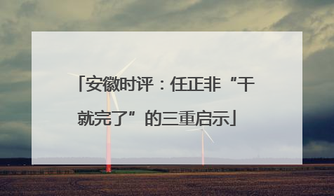安徽时评：任正非“干就完了”的三重启示