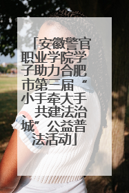 安徽警官职业学院学子助力合肥市第三届“小手牵大手、共建法治城”公益普法活动