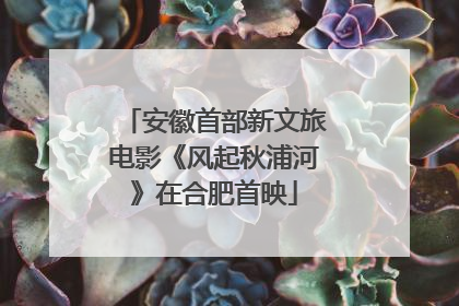 安徽首部新文旅电影《风起秋浦河》在合肥首映