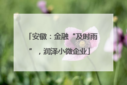 安徽：金融“及时雨”，润泽小微企业