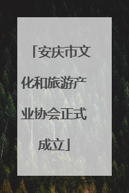 安庆市文化和旅游产业协会正式成立