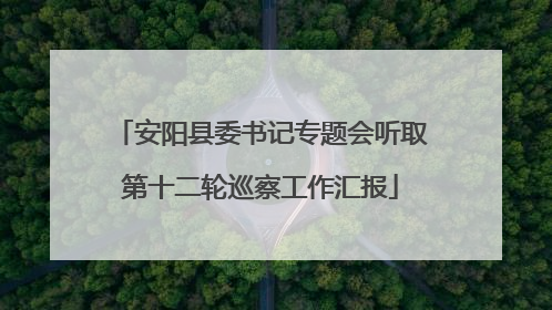 安阳县委书记专题会听取第十二轮巡察工作汇报