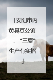 安阳市内黄县豆公镇：“三夏”生产有实招