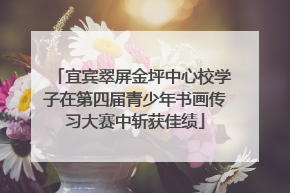 宜宾翠屏金坪中心校学子在第四届青少年书画传习大赛中斩获佳绩
