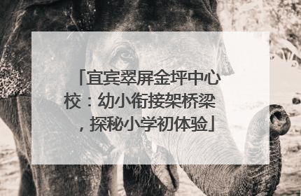 宜宾翠屏金坪中心校：幼小衔接架桥梁，探秘小学初体验