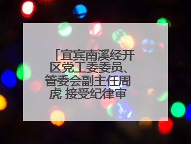 宜宾南溪经开区党工委委员、管委会副主任周虎 接受纪律审查和监察调查