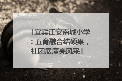宜宾江安南城小学：五育融合结硕果，社团展演亮风采