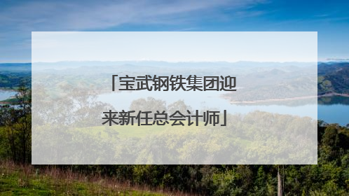 宝武钢铁集团迎来新任总会计师