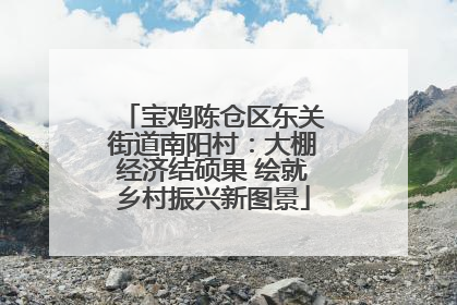宝鸡陈仓区东关街道南阳村：大棚经济结硕果 绘就乡村振兴新图景