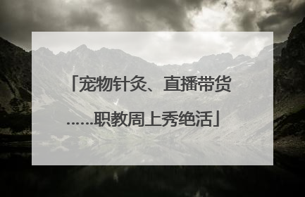 宠物针灸、直播带货……职教周上秀绝活