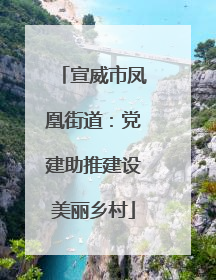 宣威市凤凰街道：党建助推建设美丽乡村