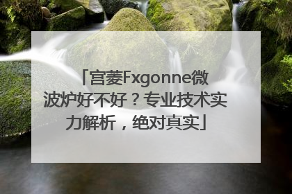 宫菱Fxgonne微波炉好不好？专业技术实力解析，绝对真实