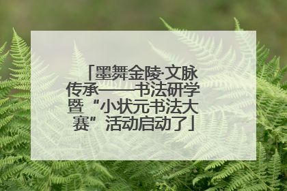 墨舞金陵·文脉传承——书法研学暨“小状元书法大赛”活动启动了