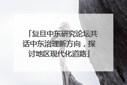 复旦中东研究论坛共话中东治理新方向，探讨地区现代化道路