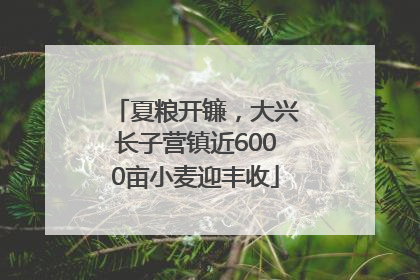 夏粮开镰，大兴长子营镇近6000亩小麦迎丰收