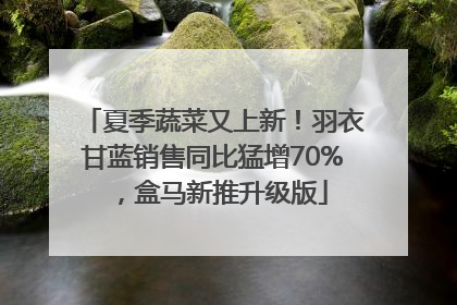 夏季蔬菜又上新！羽衣甘蓝销售同比猛增70%，盒马新推升级版